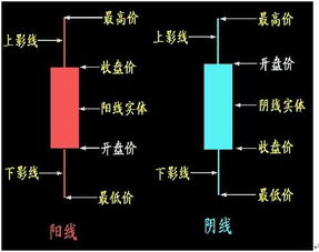 请问谁懂怎么买股票？