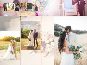 唯美婚礼电子相册模板婚礼电子视频相册图片设计素材 高清下载 58.79MB 相册贺卡PPT大全 