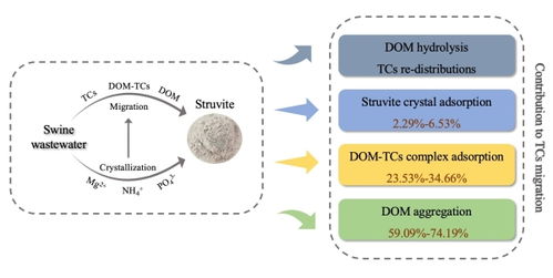 鸟粪石回收时DOM演化对四环素类抗生素迁移研究取得进展 