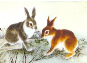 你家有属兔的吗 近期将会有 大事 请珍惜