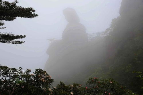 雾散云开见阳光,三清山云雾之旅,不一样的视觉享受