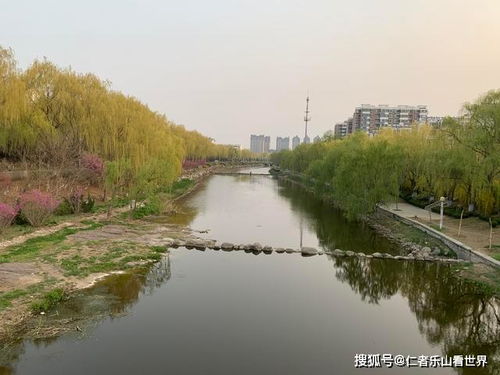 临沂沂水东皋公园