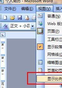 word2007显示太小,在哪里放大