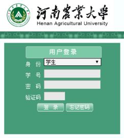 河南大学教务系统？河南大学选课系统