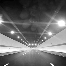 杭州紫之隧道等5条道路限速提至每小时80公里 