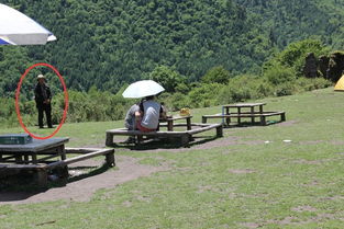 孟屯河谷,除了美丽的风景外,还有那虐心的被坑的经历 ,孟屯河谷自助游攻略 