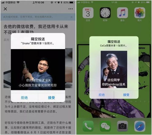 你想知道的 iPhone 隐藏技巧,这里都有