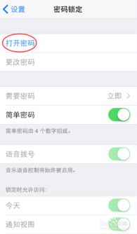 苹果iPhone手机怎么设置开机密码 