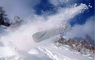 还有什么避暑方式是比夏天滑雪更炫酷的吗