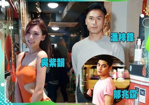 TVB俩男演员为一女子互殴,伤人者被罚千元守行三年,遭全面停工