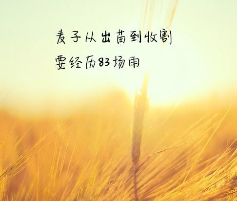 励志正能量心情短语(正能量励志的说说心情短语)