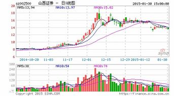 什么是股票期权经纪和自营业务权限