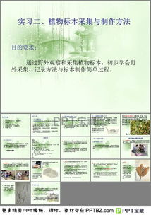 植物标本采集与制作方法PPT模板下载