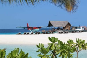 做梦去马尔代夫旅游(你最想去哪里旅行为什么)（去马尔代夫哪里出发比较近）