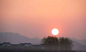 忆昔豪英舰上饮，一半秋山夕阳斜，而今已知春信至，风光不同红百花。打个股票名字。谢谢