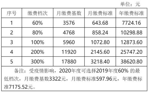 蚌埠怎么交养老保险费,蚌埠灵活就业社保缴费标准