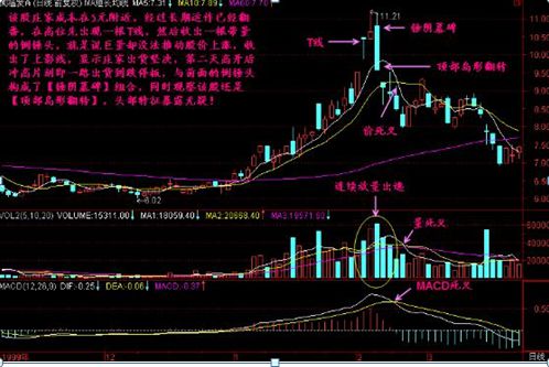 究竟是吊颈线还是倒锤头