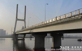 世界最大的双猫雕塑 赣江南昌八一大桥实拍 江西6
