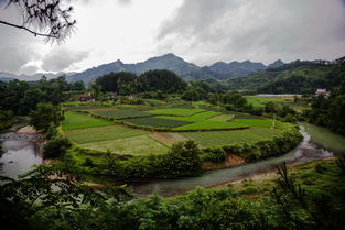 湖北恩施来凤