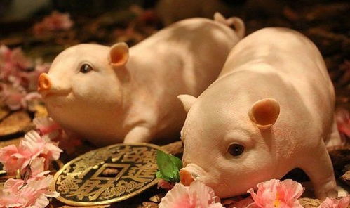 2021年生肖猪有三大坎 属猪人如何避免太岁冲击 整体运势如何