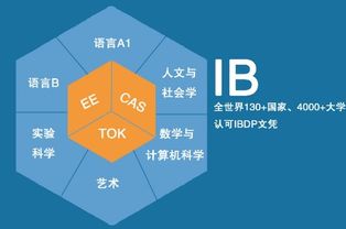 A Level课程 vs IB 课程,如何选择适合自己的