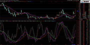 通达信里面的港伦敦金是骗人的吗