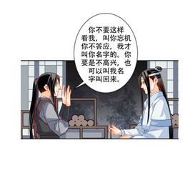 魔道祖师 魏无羡叫着蓝忘机的名字,蓝忘机都不理他 