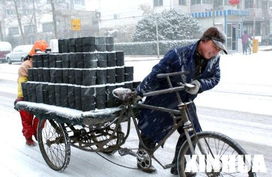 北京启动紧急预案迎接狗年第一场雪 