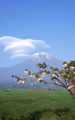 富士山手机壁纸 搜狗图片搜索