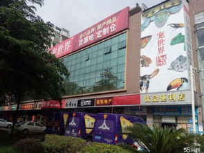 深圳最大的宠物市场在哪里 