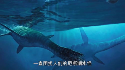 4种海洋中的史前生物,海怪是真实存在的 海怪是史前生物 