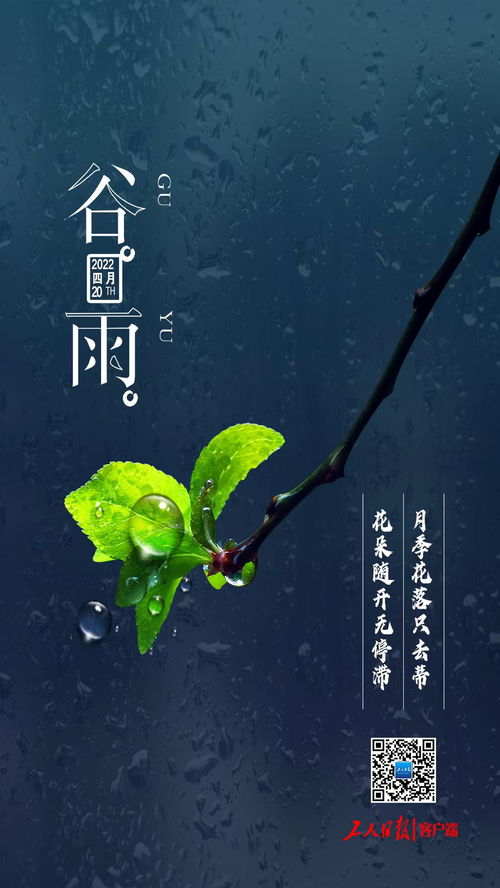 谷雨后面是什么节气