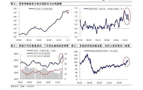 国内宏观研究报告写得好的证券机构有哪些？