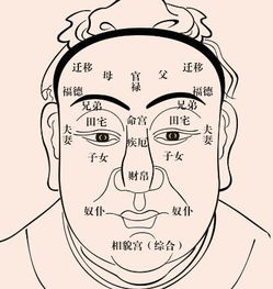 这几种面相的人最容易发财,看看有没有你 