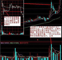 为什么主力要测试上方有多少抛盘？还有，主力为什么要测试散户的追高意愿？