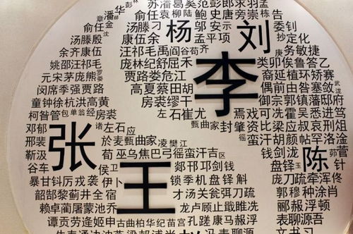 武汉大学生因 名字 走红,竟带火一个 朝代 ,网友实名羡慕