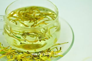 金银花茶的功效 金银花泡水的作用与功效