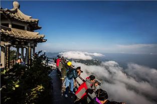 老君山后山怎么开车进(老君山哪个停车场是免费的)