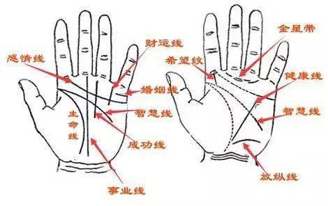 看手相准吗 掌纹看手相准吗