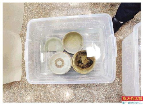 新手 组团盗捞水下文物 警方千里追击缴获瓷器846件