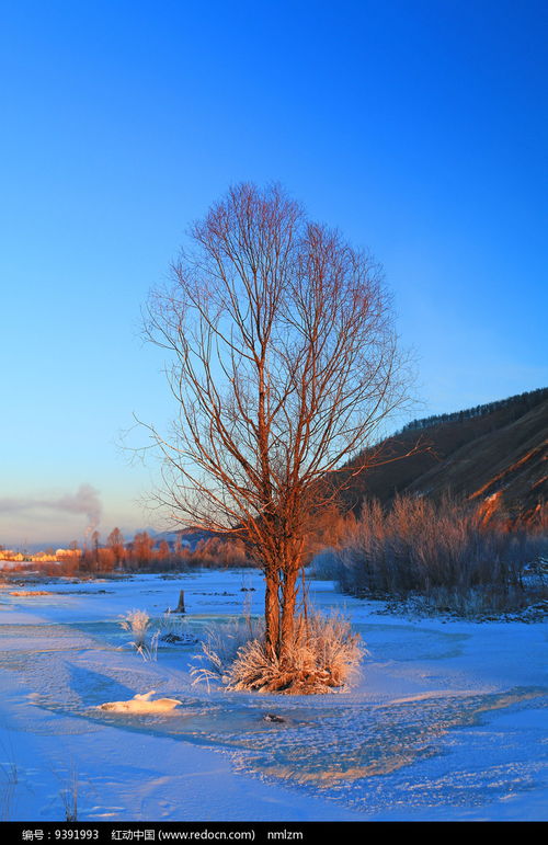 雪原手机壁纸 搜狗图片搜索