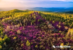 黑龙江大兴安岭松岭区