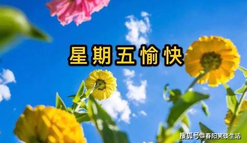 周五早上好漂亮图片问候语,温暖贴心,祝你幸福