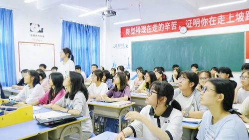 职高学校 读职高可以考哪些大学