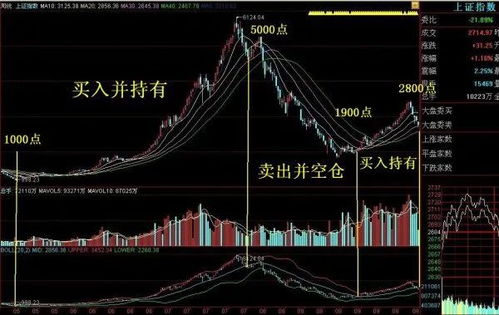 模拟炒股中应该如何选股（本人无任何经验）