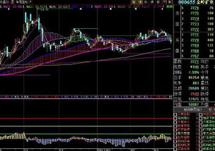 000655金岭矿业这支股后市如何?
