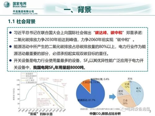 国网 双碳目标下电力开关装备的技术方案及发展前景