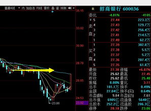 有大资金入场的股市容易操作，但多数一年只有一次，其它时间都是场内的少量资金在动作，你是等大资金入场玩，还是天天都是泡股市啊