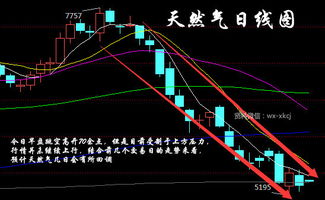 天然气行情行情怎么看?