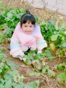 伊能静女儿叫秦米粒,包文婧女儿叫包饺子,看见张歆艺儿子叫啥众人笑了